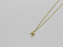 Load image into Gallery viewer, kj necklace

